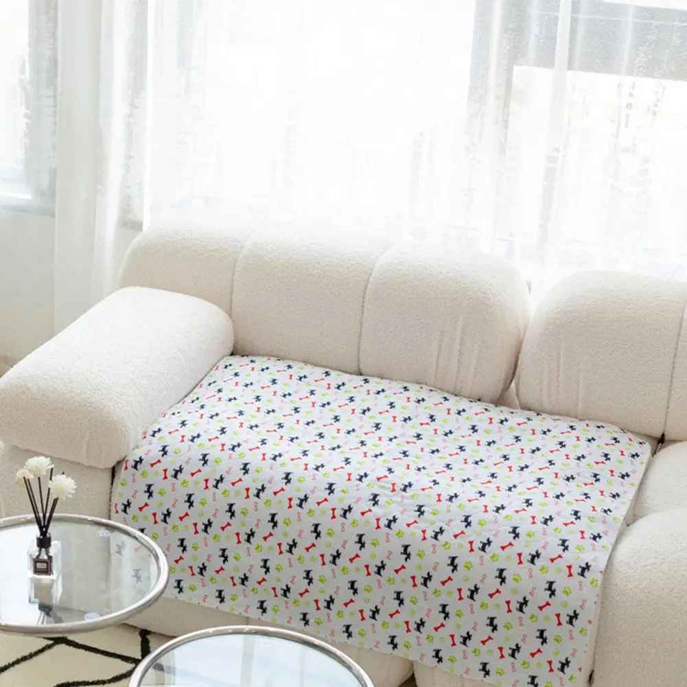 you can protect your sofa